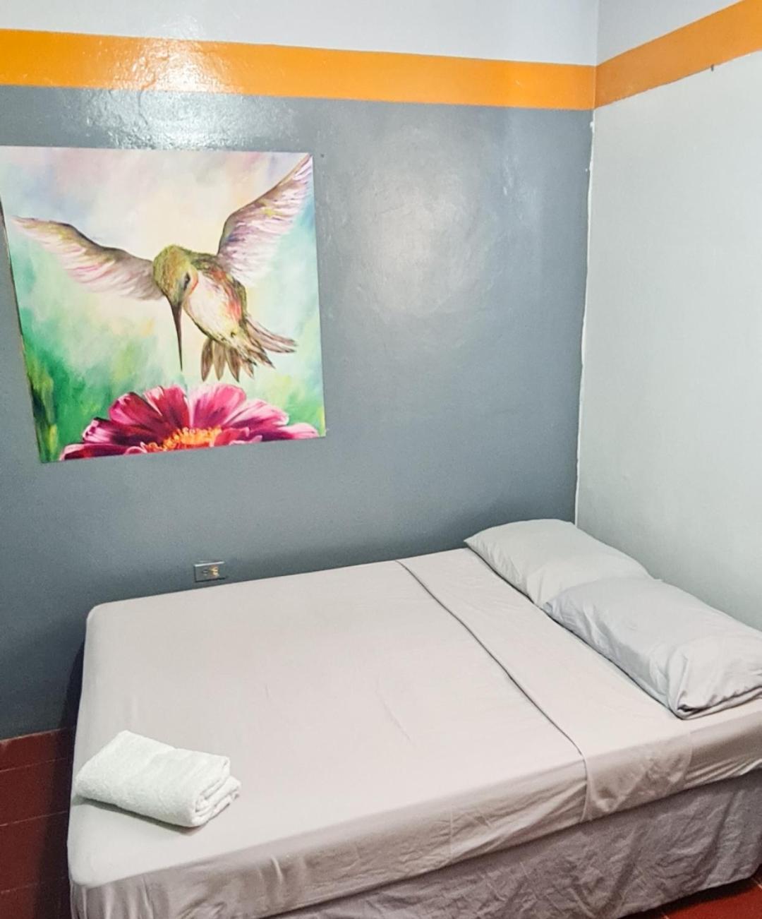 Hostal Tortuga Viajera Moyogalpa Bilik gambar